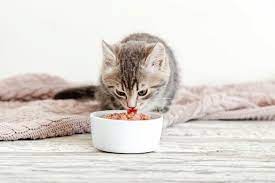 Optimizing Cat Health: Unpacking the Nutritional Value of Cat Food Ingredients