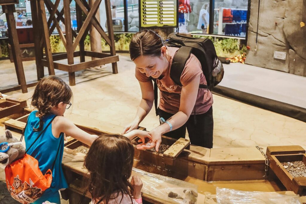Themed Family Vacations: How to Make Every Trip a Fun-Filled Adventure