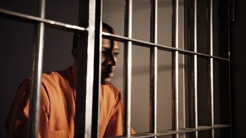 Behind Bars, Beyond Walls: The Hidden Impact of Parental Incarceration on Families